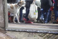 vrij-markt koningsdag